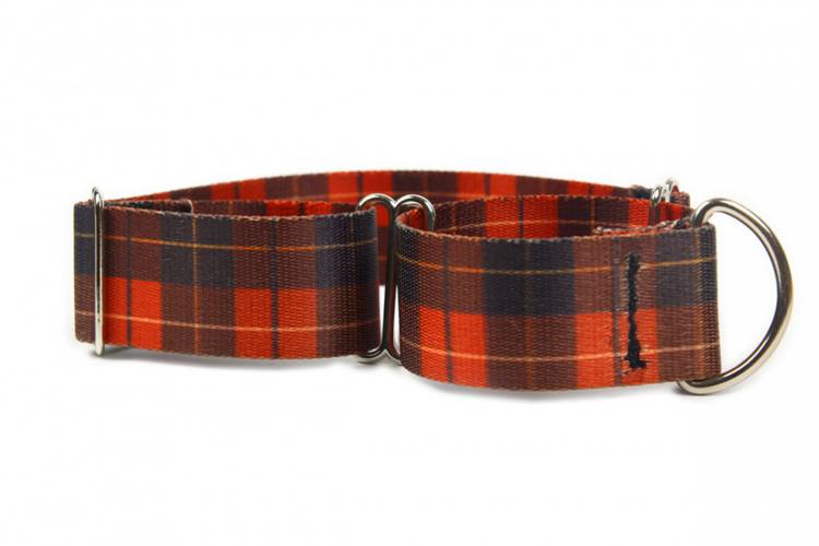 Obroża Zaciskowa Martingale - Szkocka Krata 0576 20MM 24-36CM - matteo-company