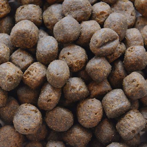 Karma sucha dla psa - Łosoś z batatami i warzywami  6kg - EcoFood24