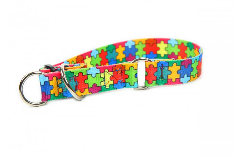 Obroża Półzaciskowa - Puzzle 0617 20MM 0CM 26-40CM - matteo-company