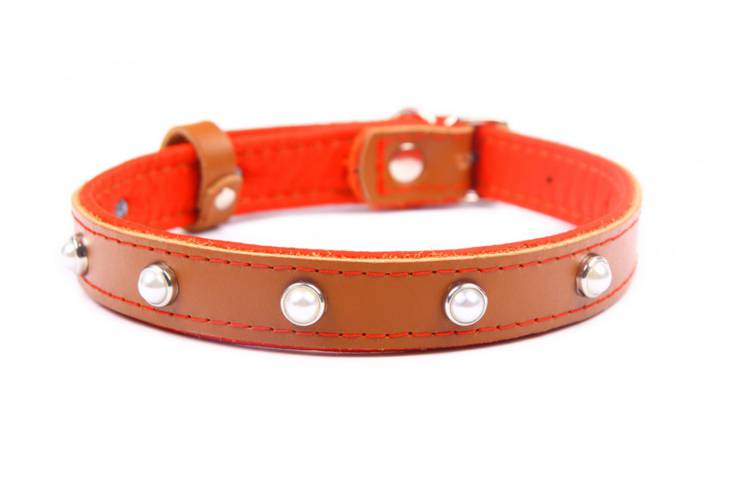 Obroża skóra Premium Kryształ - Brąz/Czerwony 1332 24MM 50CM 35-46CM - matteo-company