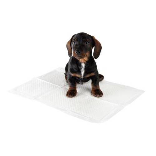 zooplus mata treningowa dla szczeniąt Rozmiar L (dł. x szer.): 60 x 45 cm, 30 sztuk - Zooplus Selection