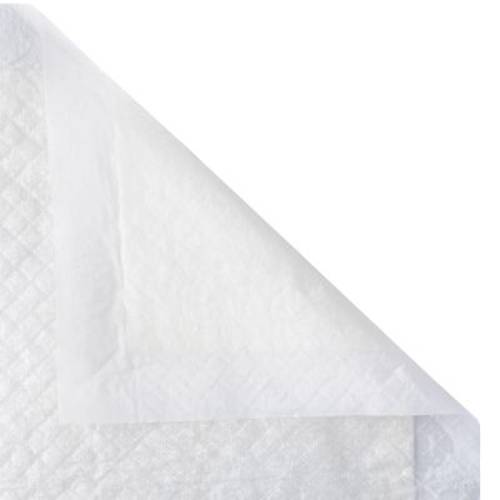 zooplus mata treningowa dla szczeniąt Rozmiar L (dł. x szer.): 60 x 45 cm, 30 sztuk - Zooplus Selection