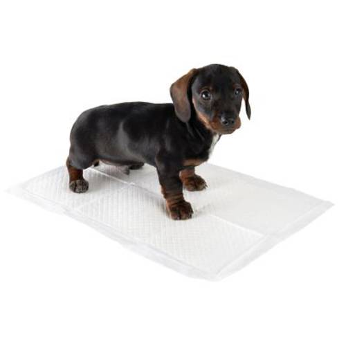 zooplus mata treningowa dla szczeniąt Rozmiar L (dł. x szer.): 60 x 45 cm, 30 sztuk - Zooplus Selection