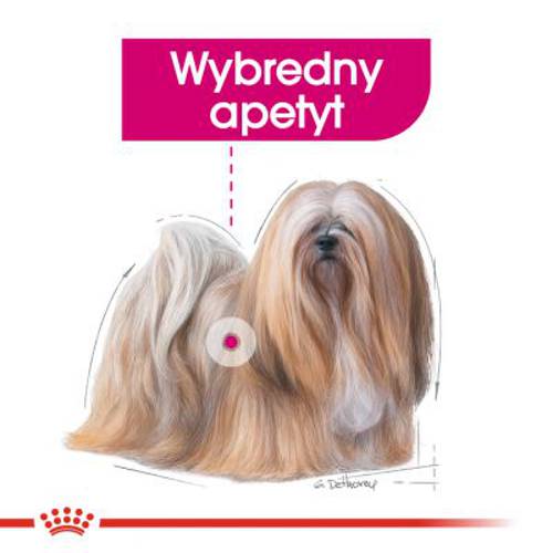 Royal Canin CCN Exigent Mini 2 x 3 kg - Rc Care Nutrition