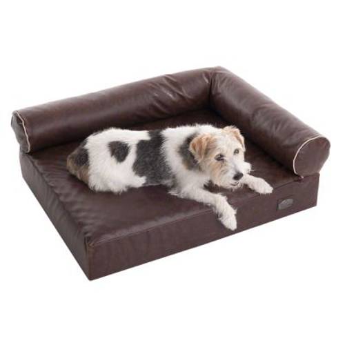 Ortopedyczna sofa dla psa Wellness Divan Dł. x szer. x wys.: 110 x 70 x 32 cm - Zooplus Selection