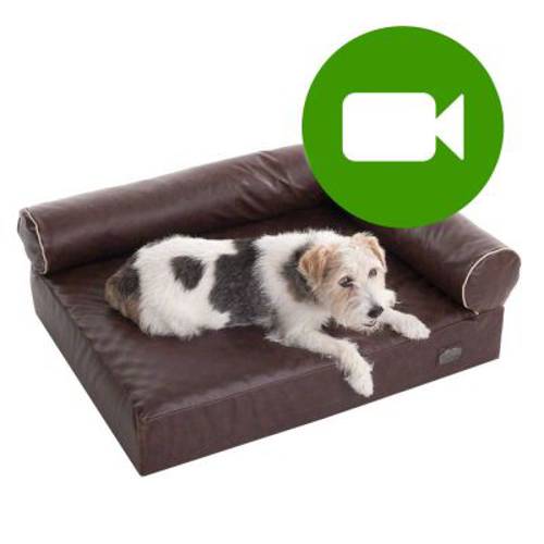 Ortopedyczna sofa dla psa Wellness Divan Dł. x szer. x wys.: 110 x 70 x 32 cm - Zooplus Selection