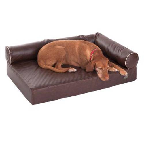 Ortopedyczna sofa dla psa Wellness Divan Dł. x szer. x wys.: 110 x 70 x 32 cm - Zooplus Selection