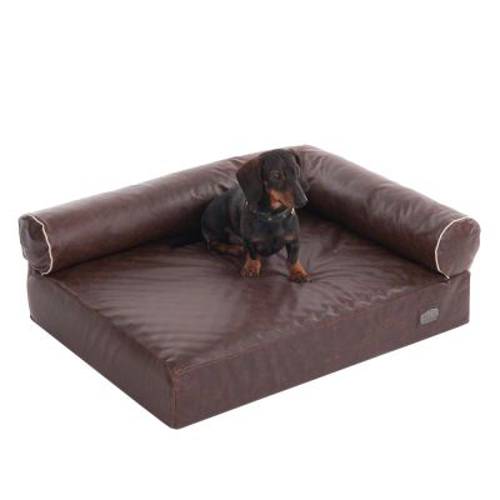 Ortopedyczna sofa dla psa Wellness Divan Dł. x szer. x wys.: 110 x 70 x 32 cm - Zooplus Selection