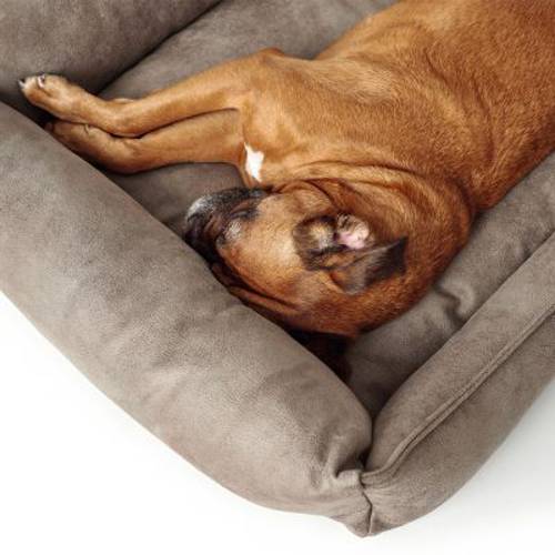 Hunter sofa dla psa Bologna, kamienno-szara Dł. x szer. x wys.: 90 x 70 x 20 cm - Hunter