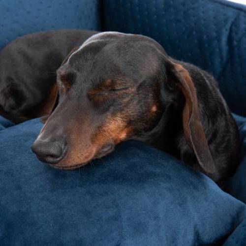 Legowisko Lublin z poduszką Rozmiar L: dł. x szer. x wys.: 85 x 75 x 22 cm - Zooplus