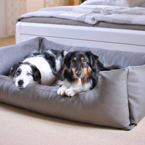 Pawz & Pepper legowisko dla psa Delano Dł. x szer. x wys.: 120 x 82 x 30 cm - Zooplus