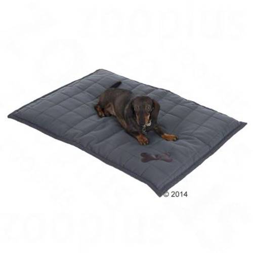 Poduszka dla psa Freedom Bone Dł. x szer. x wys. ok: 100 x 70 x 4 cm - Zooplus Selection