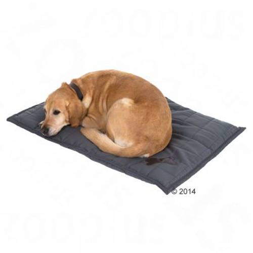 Poduszka dla psa Freedom Bone Dł. x szer. x wys. ok: 100 x 70 x 4 cm - Zooplus Selection