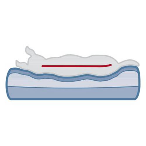 Trixie Vital sofa Bendson Dł. x szer. x wys.: 100 x 80 x 30 cm - Trixie