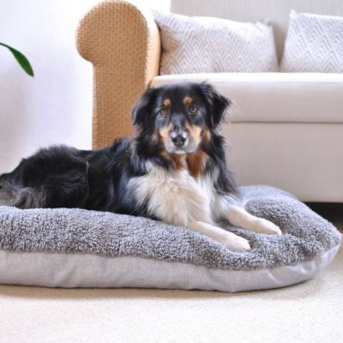 Pawz & Pepper ortopedyczna poduszka Denver Ortho Dł. x szer. x wys.: 80 x 60 x 15 cm - Pawz Pepper