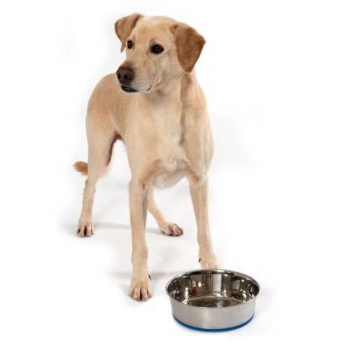 Miska ze stali szlachetnej Premium 1,2 l,  Ø 17 cm - Zooplus Selection