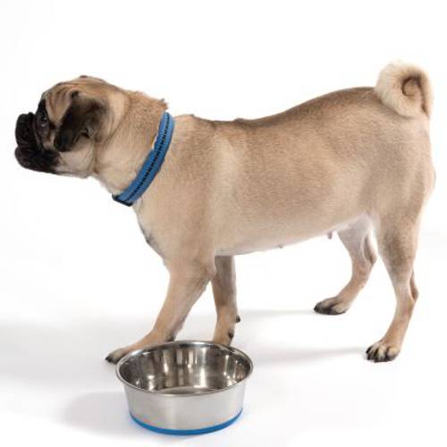 Miska ze stali szlachetnej Premium 2,7 l,  Ø 24 cm - Zooplus Selection