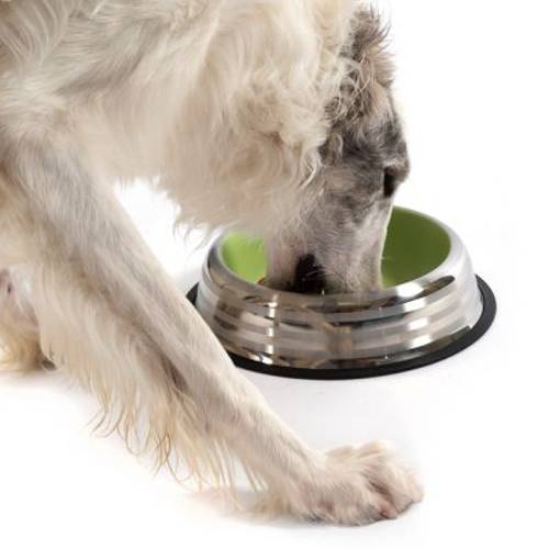 Miska ze stali nierdzewnej, zielona 230 ml, Ø 15 cm - Zooplus