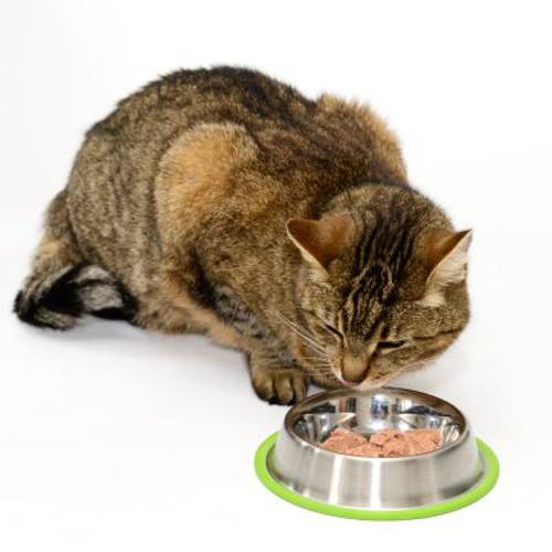 Silver line Grün miska ze stali szlachetnej 450 ml, Ø 20 cm - Zooplus