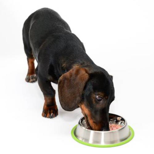 Silver line Grün miska ze stali szlachetnej 700 ml, Ø 23 cm - Zooplus