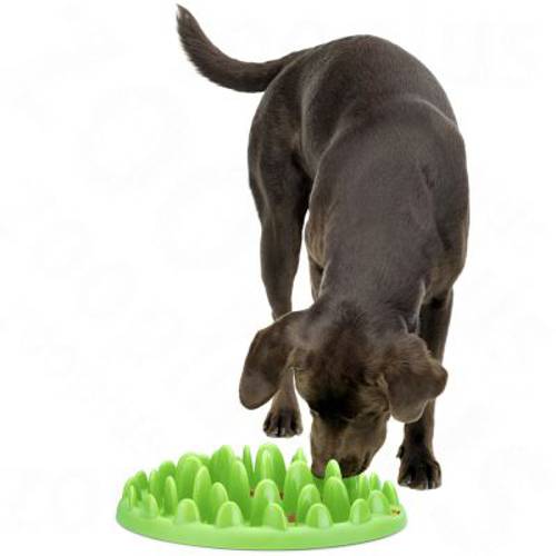 NORTHMATE ® Green Feeder miska i zabawka dla psa Dł. x szer. x wys.: 40 x 30 x 10 cm - Zooplus Selection