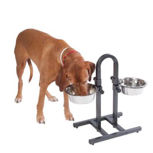 Psi bar z dwiema metalowymi miskami 2 x 1,8 l / ø 21 cm - Zooplus