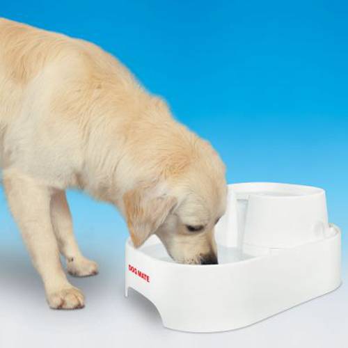 Dog Mate poidełko fontanna Filtry zapasowe, 6 szt. - Zooplus Selection