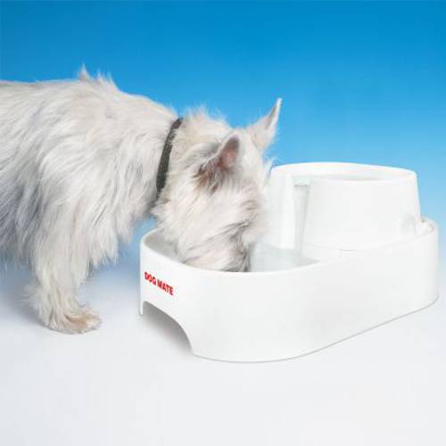 Dog Mate poidełko fontanna Komplet (poidełko, 2 x filtr zapasowy, pompa zapasowa) - Zooplus Selection