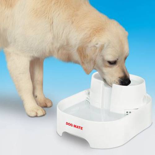 Dog Mate poidełko fontanna Komplet (poidełko, 2 x filtr zapasowy, pompa zapasowa) - Zooplus Selection