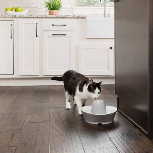 PetSafe® Streamside Ceramiczna fontanna Fontanna, objętość 1,8 l - Petsafe