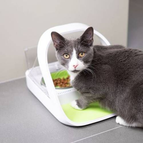 SureFeed automat na karmę Connect, z czytnikiem mikrochipów Hermetyczny pojemnik: 400 ml - PetCare