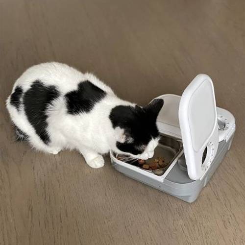 Cat Mate C200 automat na karmę Uzupełnienie: wymienne miski ze stali nierdzewnej, 2 szt. - Zooplus Selection