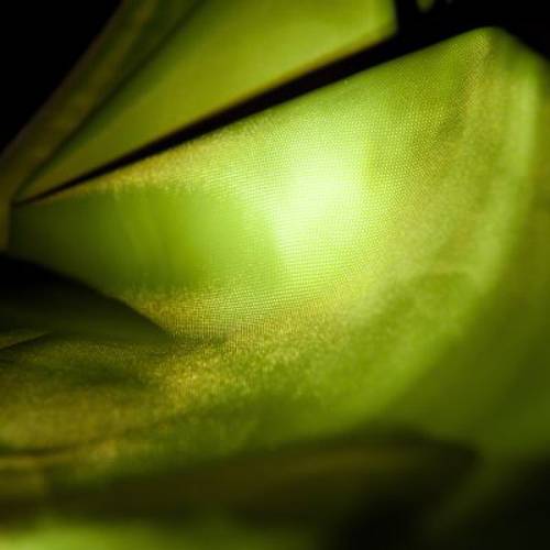 Illume Nite Neon kamizelka dla psa Dł. grzbietu: 70 cm - Zooplus