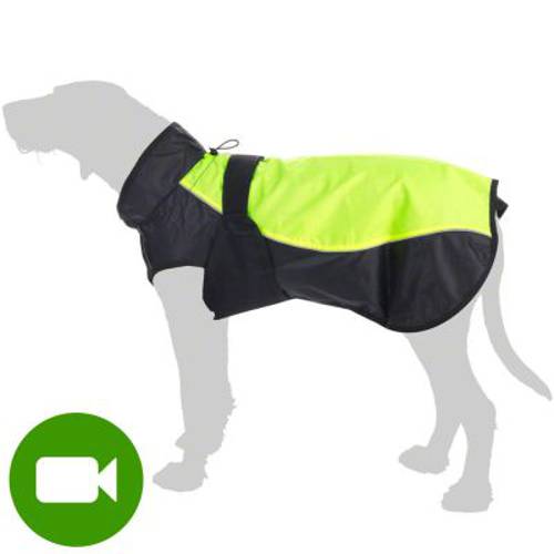 Illume Nite Neon kamizelka dla psa Dł. grzbietu: 70 cm - Zooplus