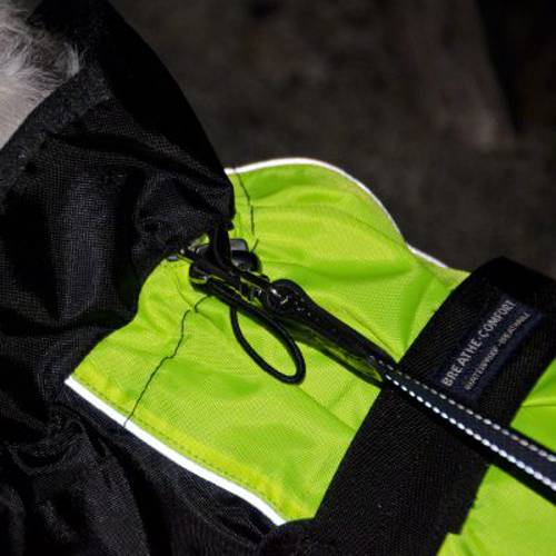 Illume Nite Neon kamizelka dla psa Dł. grzbietu: 70 cm - Zooplus