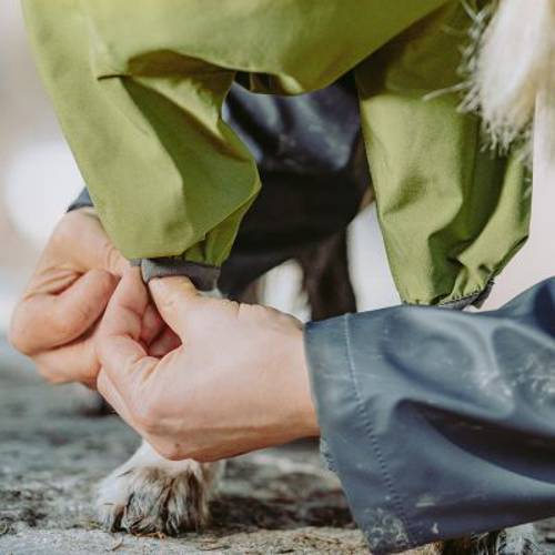 Hurtta kombinezon przeciwdeszczowy Bare, zielony Dł. grzbietu: ok. 45 cm - Hurtta