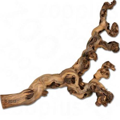 Trixie Reptiland  - konar winorośla 40 - 60 cm