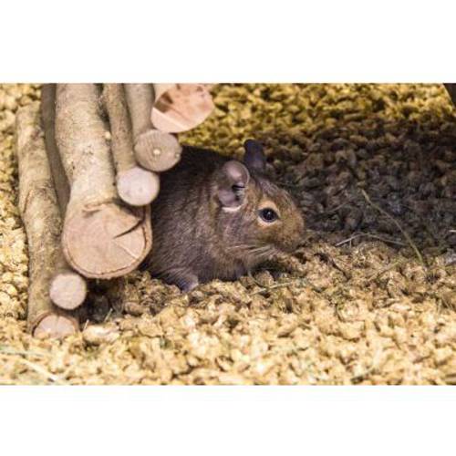 Bunny Bedding Cosy 20 l - Bunny