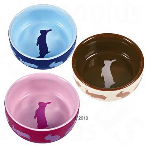 Trixie miseczki ceramiczne dla gryzoni Ø 11 cm, 250 ml, dla świnki morskiej - Trixie