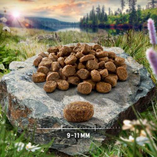 Mieszany pakiet próbny Purizon Adult dla kota, 3 x 2,5 kg Kurczak i ryba, sarnina i ryba, kaczka i ryba - Purizon