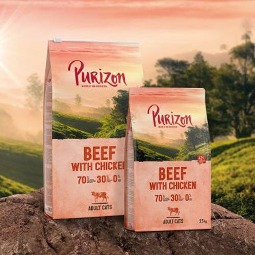 Purizon Adult, wołowina i kurczak – bez zbóż 400 g - Purizon