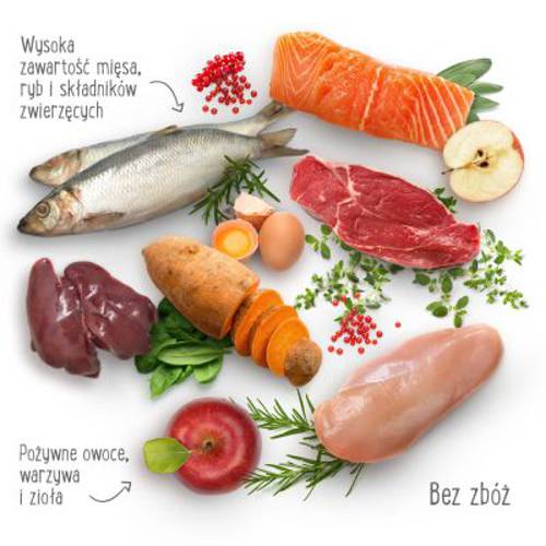 Purizon Adult dla kota, dziczyzna i kurczak – bez zbóż 2 x 6,5 kg - Purizon