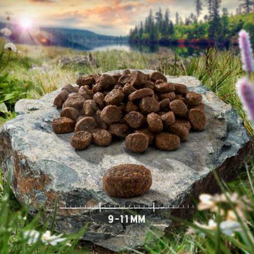 Purizon Adult dla kota, dziczyzna i kurczak – bez zbóż 2 x 6,5 kg - Purizon