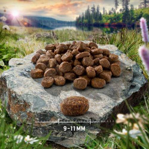 Purizon Adult dla kota, sarnina i ryba – bez zbóż 400 g - Purizon