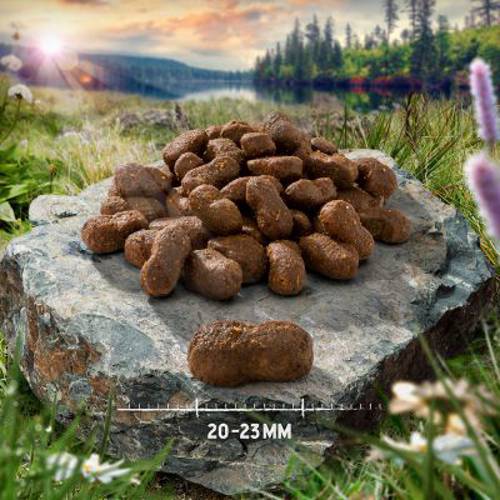 Purizon Large Adult, kurczak i ryba – bez zbóż 2,5 kg - Purizon