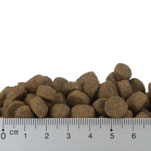 Feringa Adult, indyk 6,5 kg - Feringa Kot