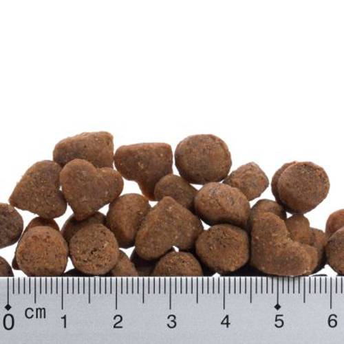 Feringa Adult, kurczak i pstrąg 6 kg - Feringa Kot