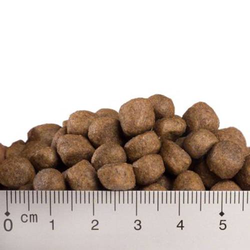 Feringa Adult, ryba 400  g - Feringa Kot