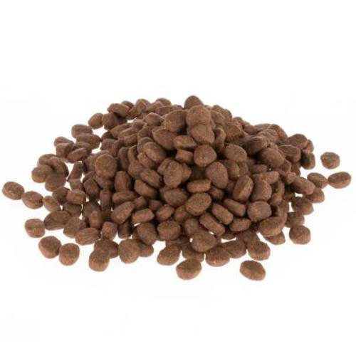 Wild Freedom Adult „Cold River”, łosoś 2 kg - Wild Freedom