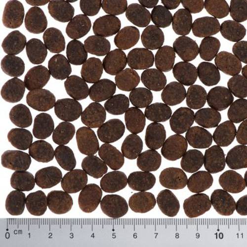 Wild Freedom Adult „Farmlands”, wołowina 3 x 2 kg - Wild Freedom